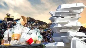 تأثیر ظروف یکبار مصرف بر محیط زیست