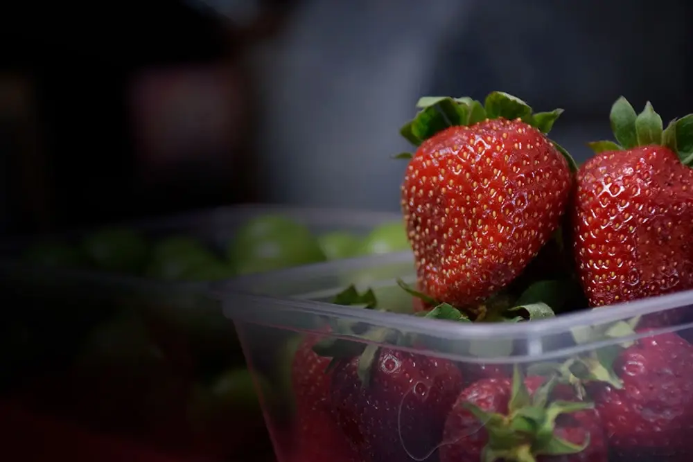 ظرف یکبارمصرف