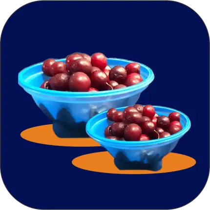 ظروف یکبارمصرف پلاستیکی