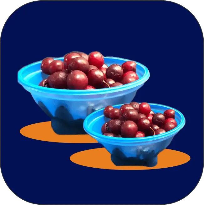 ظروف یکبارمصرف پلاستیکی