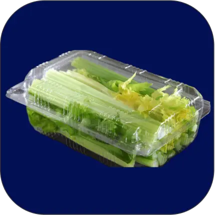 ظروف پت یکبارمصرف