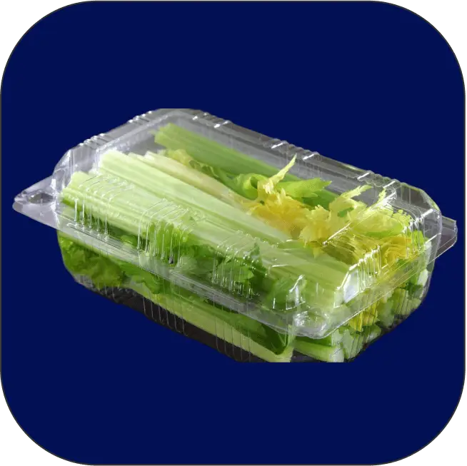 ظروف پت یکبارمصرف